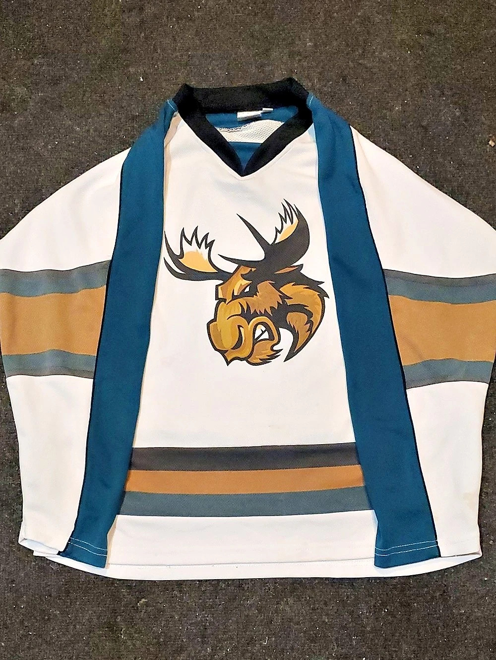 AHL Manitoba Moose Vintage Jersey... 🫎🏒